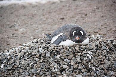 Xbox发布会没SE游戏？菲尔：看来又得飞一趟日本了